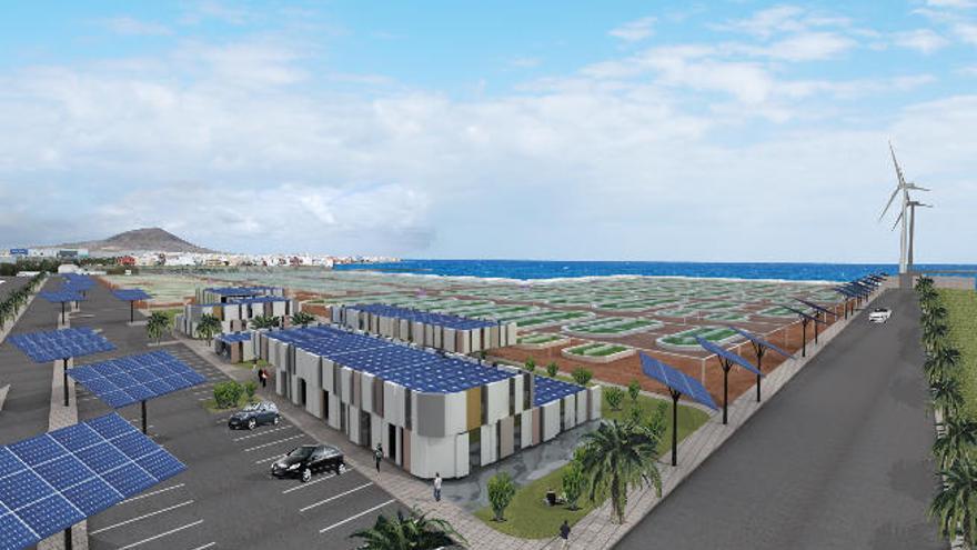 Las tasas del suelo retrasan el Parque Biotecnológico del puerto de Arinaga