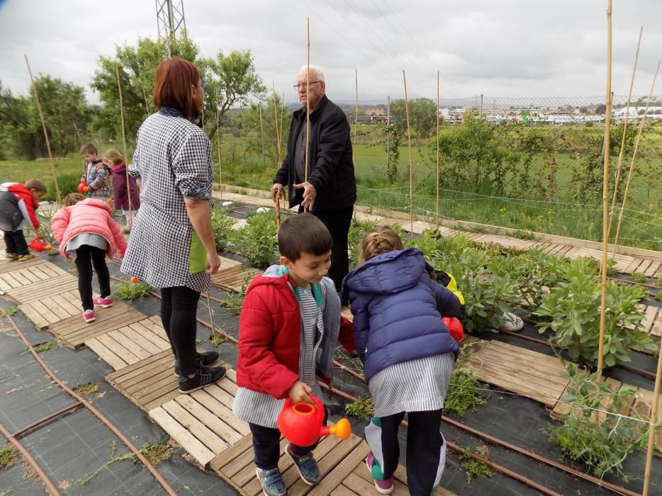 Un hort intergeneracional al pati de l'escola Paidos