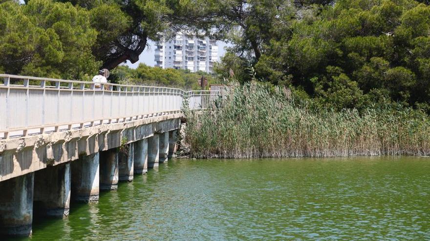 Vertido de agua verde en las playas de la Devesa y Perellonet