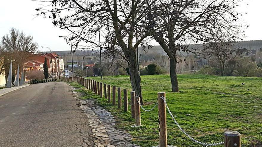 Medio Ambiente crea separaciones con plantas en la bajada del Parador en Benavente