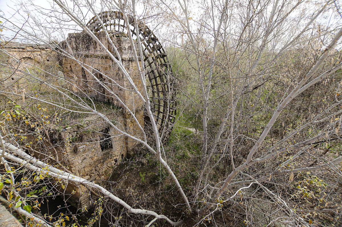 Los Sotos de la Albolafia de Córdoba