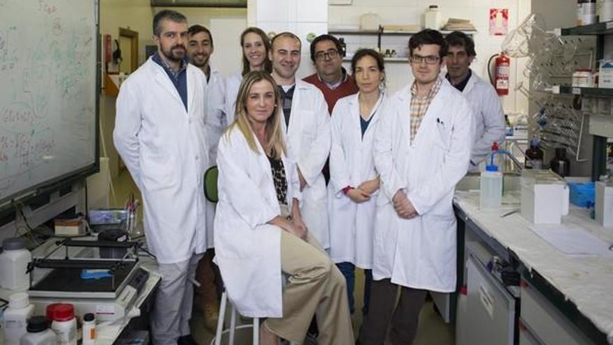 El equipo de investigación de la Universidad de Salamanca dirigido por la catedrática de Ingeniera Química, Eva Martín del Valle.