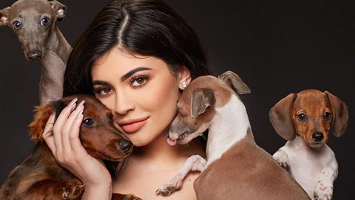 Kylie Jenner con sus perros