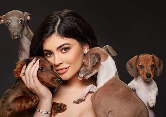 Kylie Jenner con sus perros