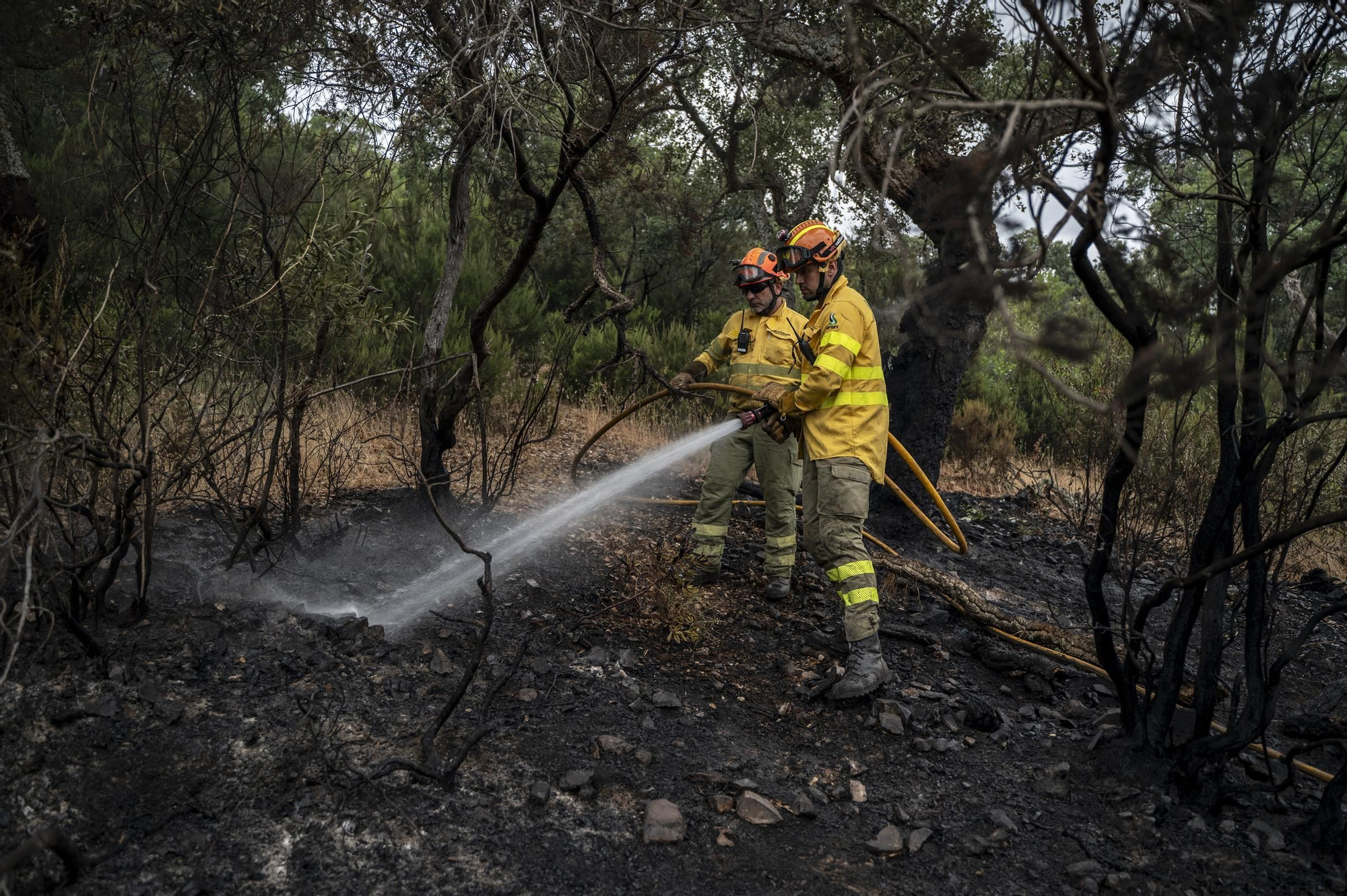 Las imágenes del incendio de este viernes en Cáceres