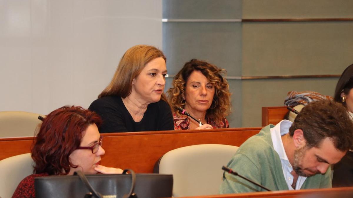 María Ángeles Lerma (de negro) durante su intervención en el pleno ante María Fernández y Guillermo Alonso, abajo.