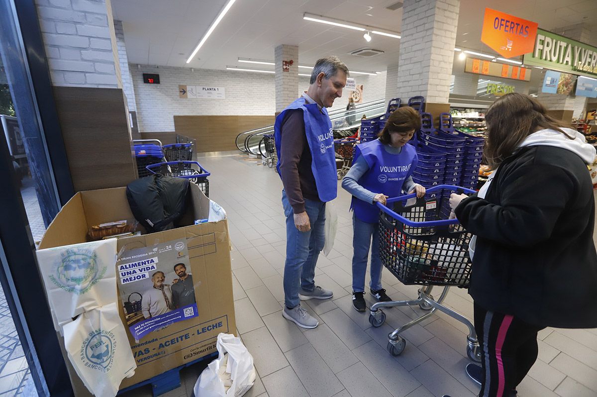 La gran recogida de alimentos de Córdoba, en imágenes