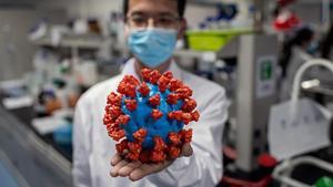 Un investigador muestra un modelo del virus en uno de los laboratorios de Sinovach, una de las empresas en busca de una vacuna