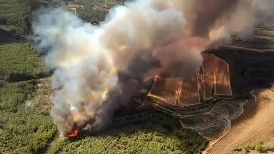 Los Bomberos combaten un incendio de "alta intensidad" en Aiguamúrcia, Tarragona