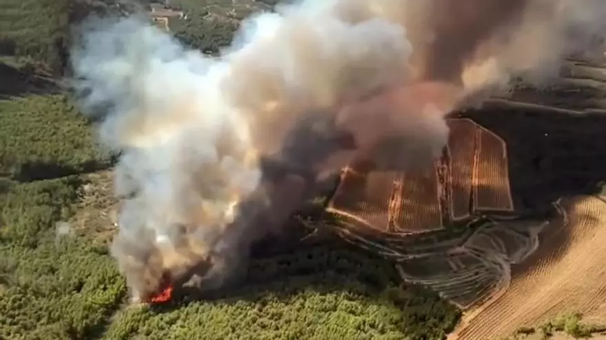 Los Bomberos combaten un incendio de "alta intensidad" en Aiguamúrcia, Tarragona