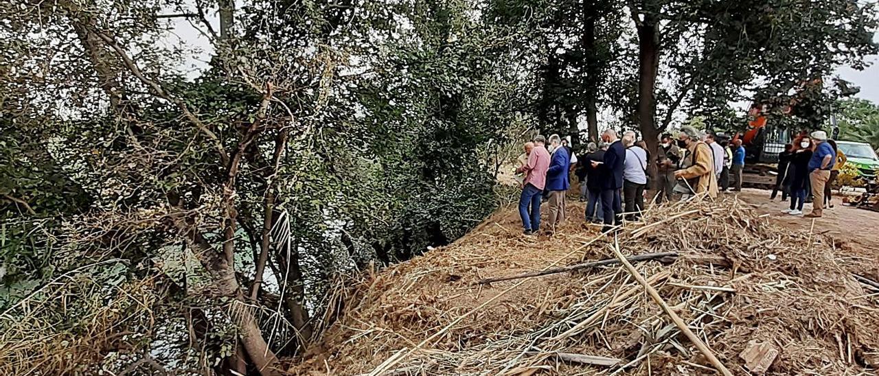 El Barxeta al llegar al Xúquer.