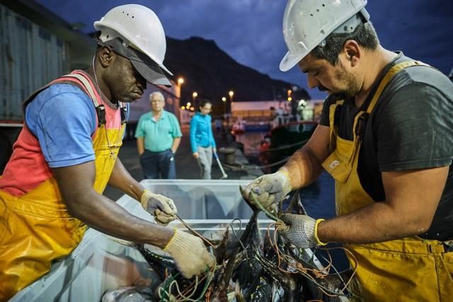 Descarga de atún en el puerto de Santa Cruz