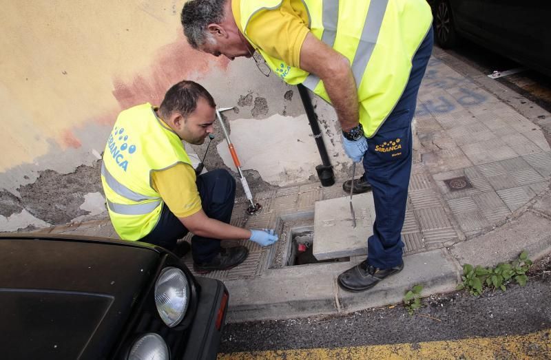 Campaña urgente contra plagas