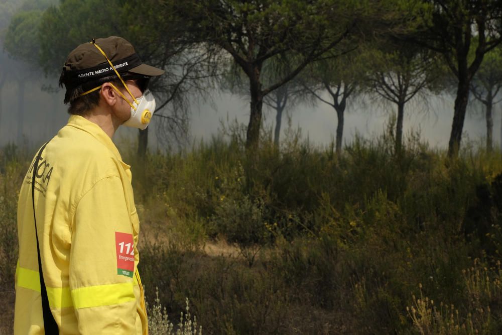 El incendio de Moguer alcanza el Espacio Natural de Doñana