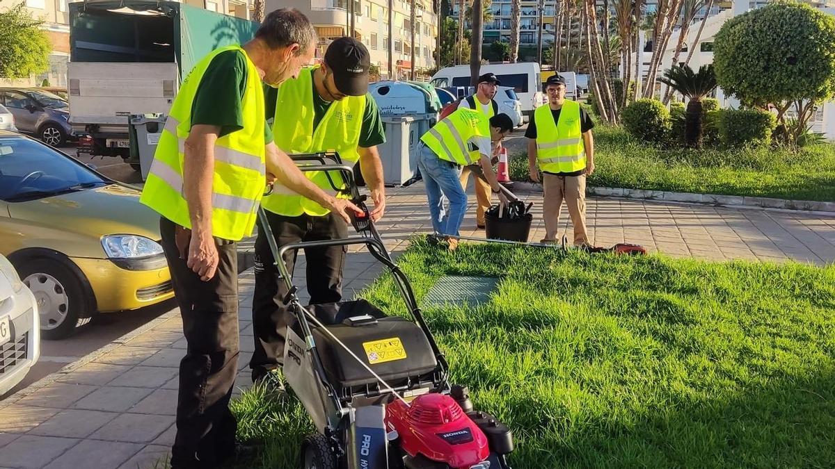 Trabajos de poda de césped.