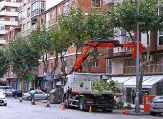 La empresa de Jardines, denunciada por endosar obras privadas al Ayuntamiento de Zamora