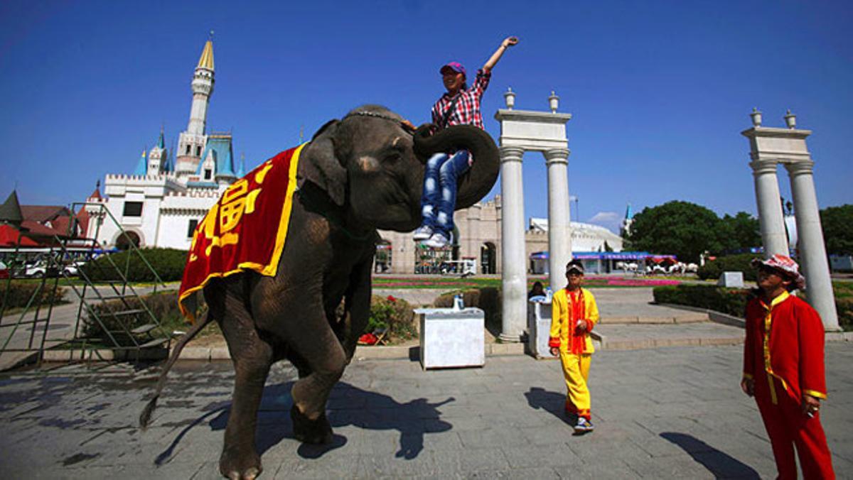 Una dona asseguda sobre un elefant intenta cridar l’atenció de possibles clients al Parc Mundial de Pequín (Xina).