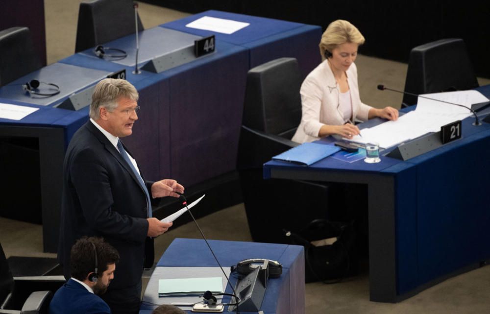 16 July 2019, France, Strasbourg: Joerg Meuthen, ...