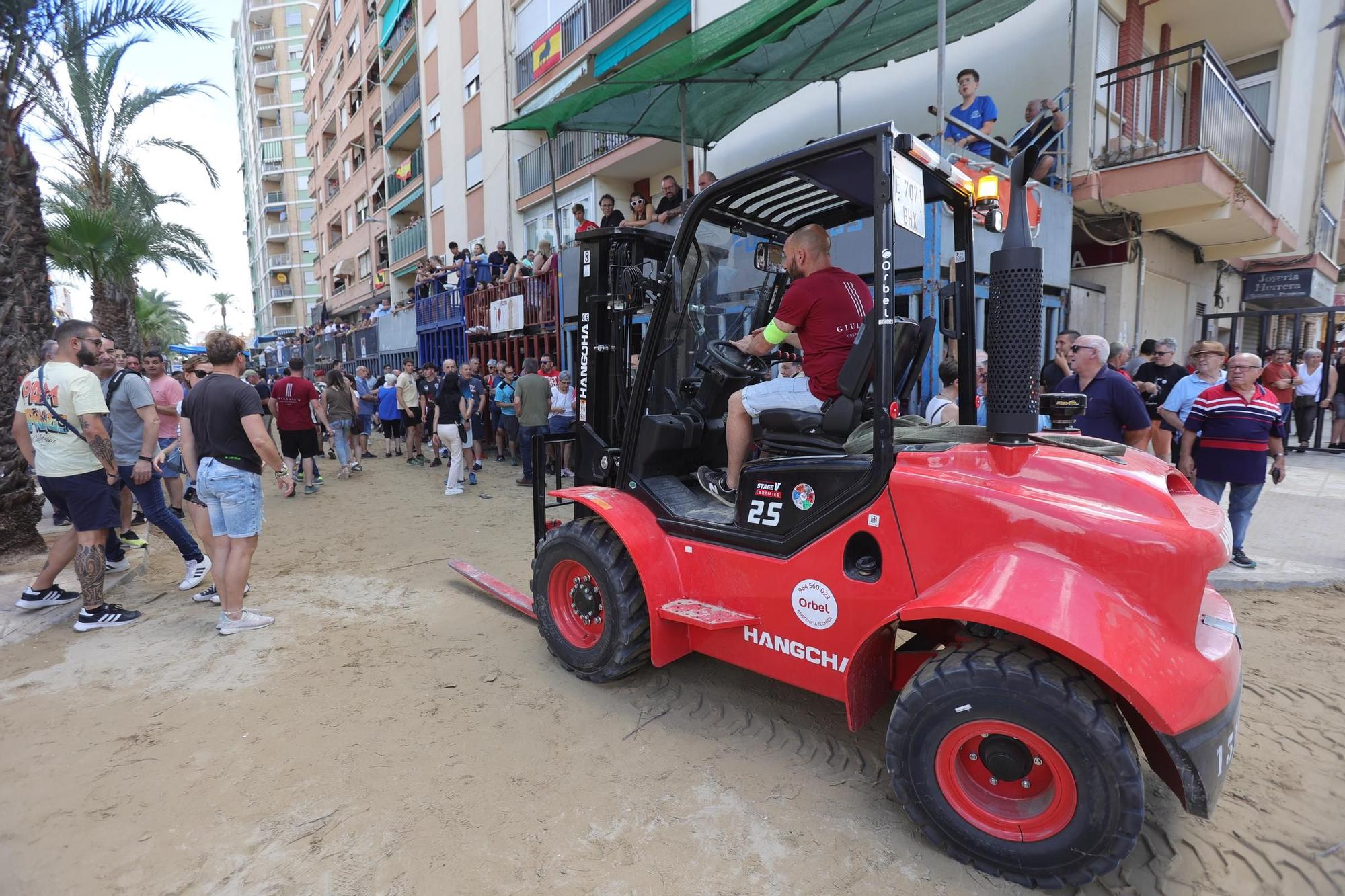 Encierro de cerriles en las fiestas de Sant Pere del Grau