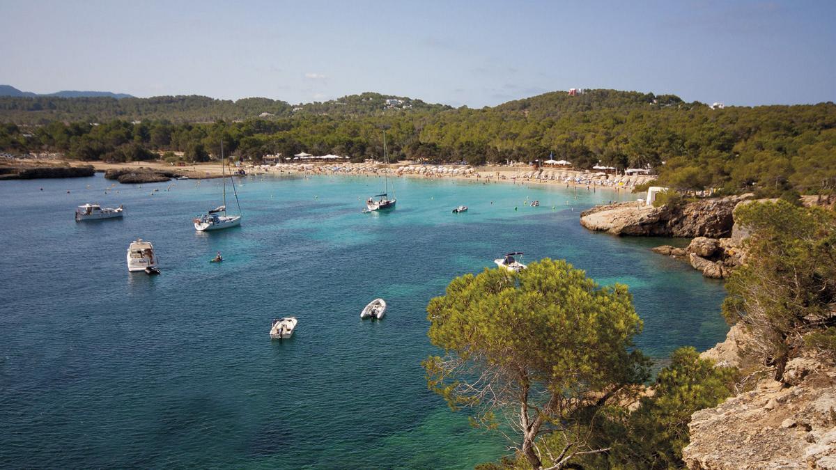 Cala Bassa (Ibiza)