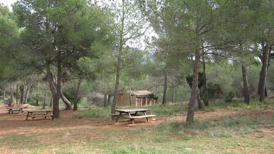 Área de Aliguetes donde se celebraba el botellón