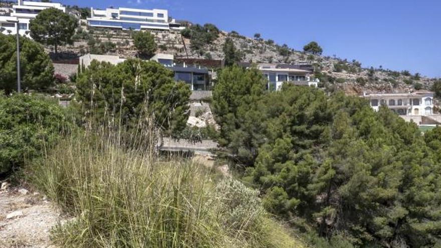 34 Kiefern der Nachbarin für &quot;besseren Ausblick&quot; gefällt - Vier Jahre Haft für Villenbesitzer in Son Vida auf Mallorca gefordert