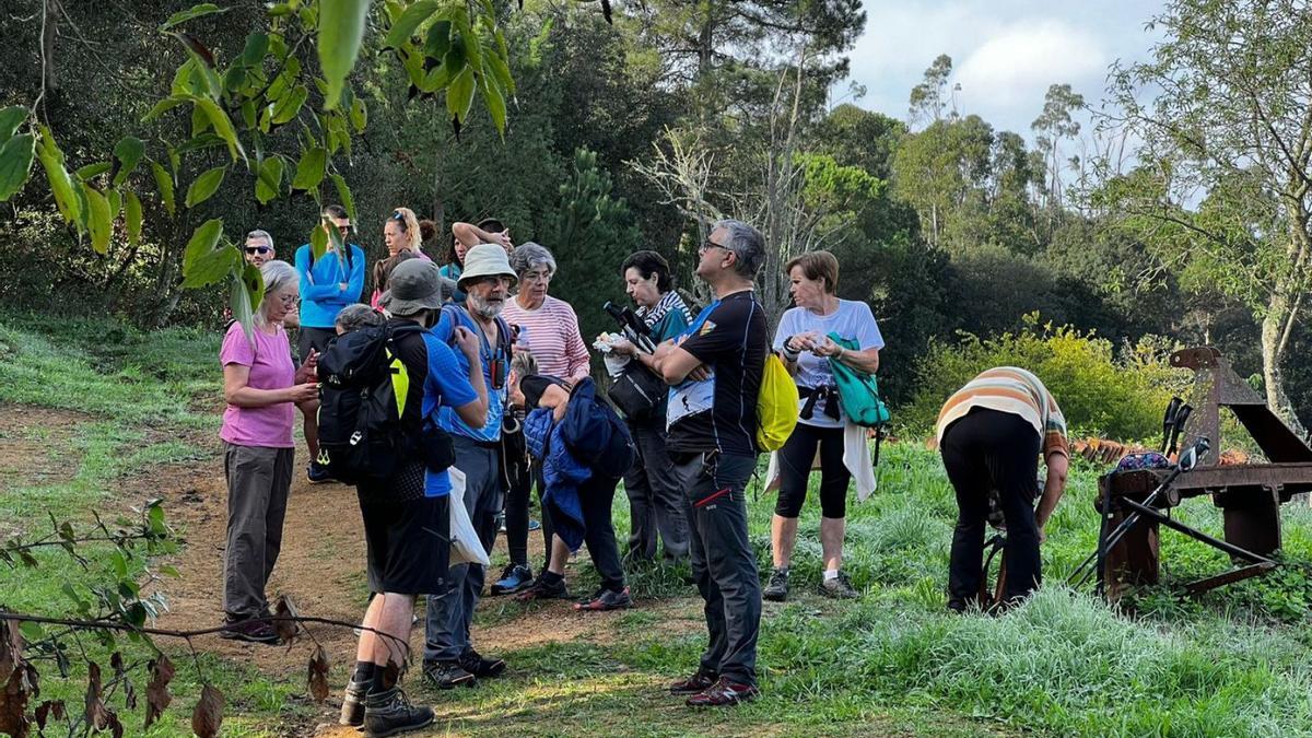 Caminada del Correlengua a Llagostera | AJUNTAMENT DE LLAGOSTERA