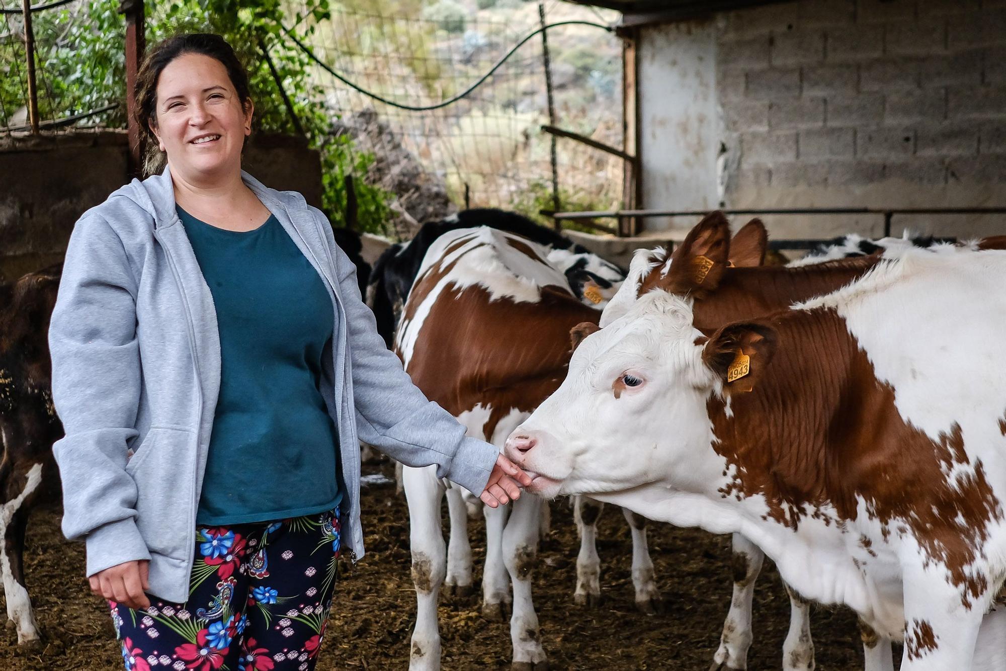 Judith González, ganadera de Valsequillo con casi un centenar de vacas
