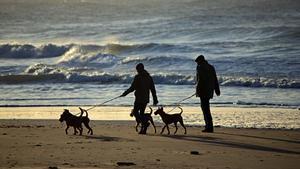 Dos personas pasean a sus mascotas por la playa.