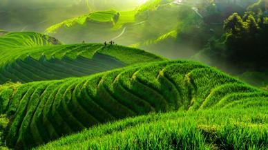 Guilin, la China de la naturaleza desbordante