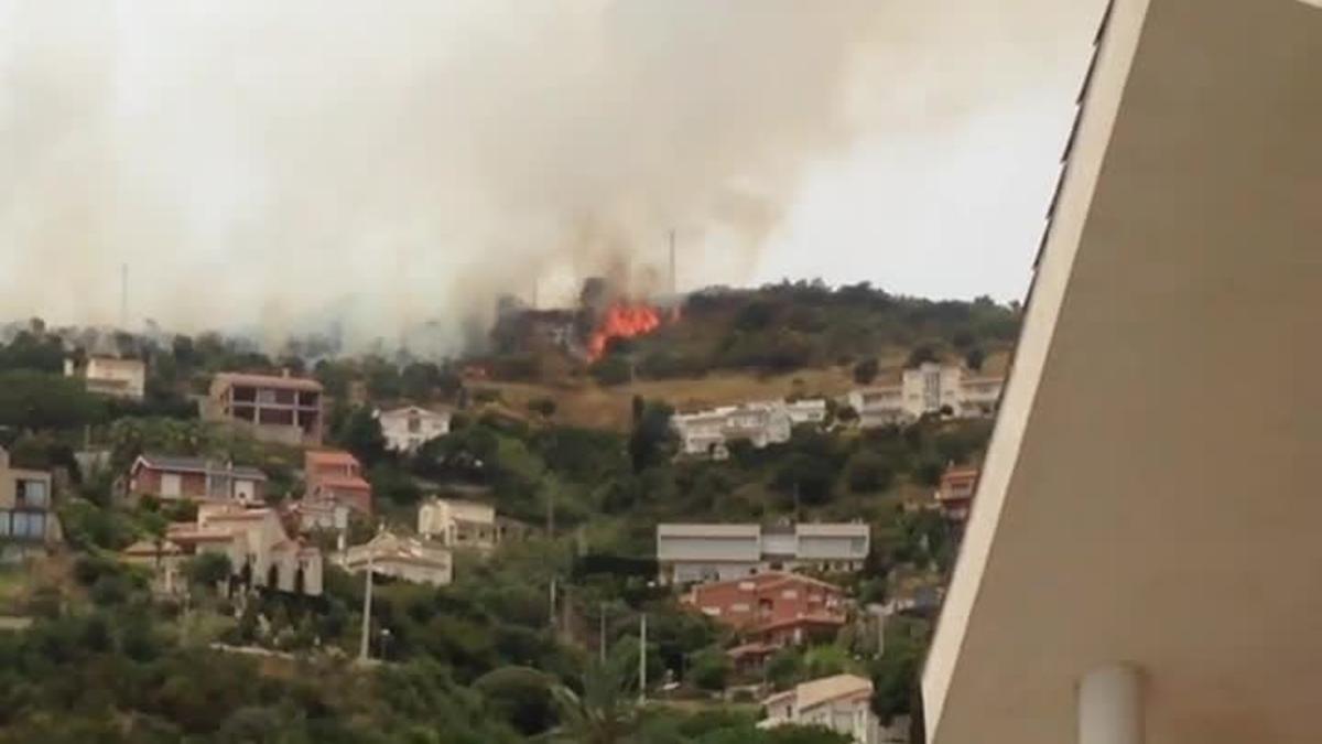 Incendio forestal en Collserola.