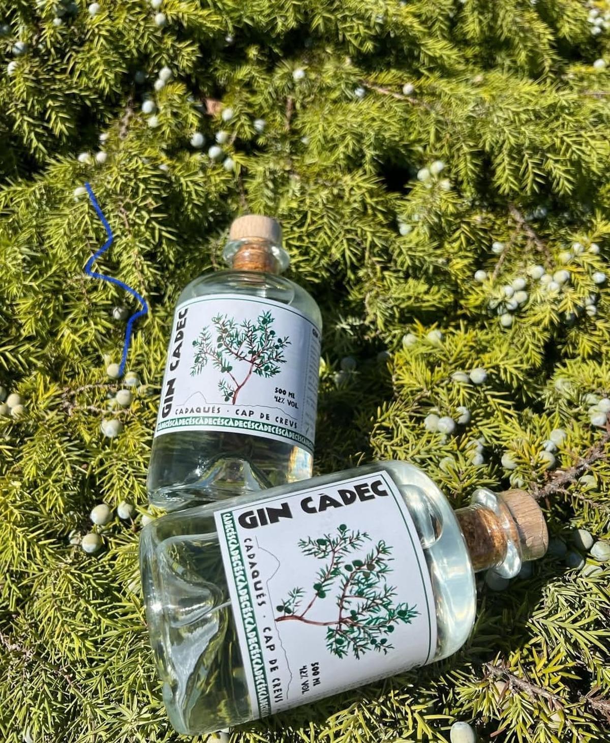 Gin Càdec és una ginebra nascuda dels sabors del Cap de Creus, en plena pandèmia