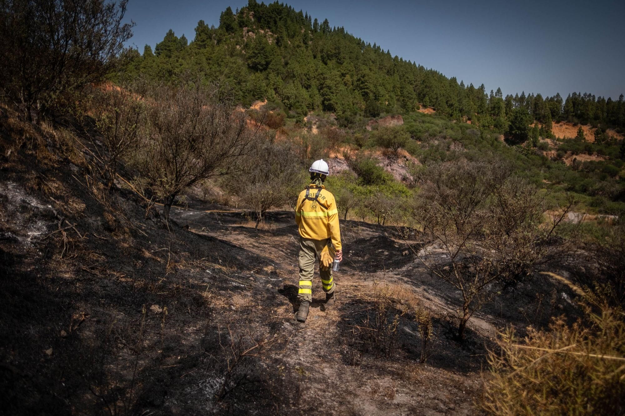 Control del incendio en Tenerife