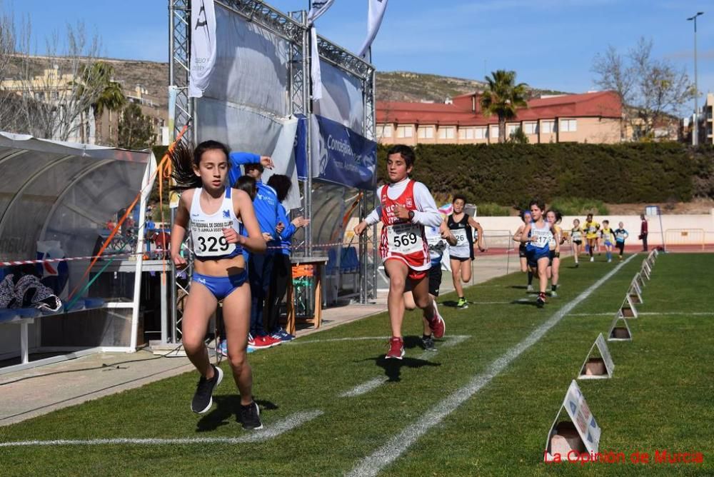 Cross de Jumilla 5