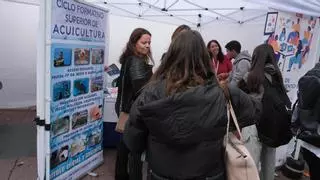 Más de 600 estudiantes conocen la realidad del mercado laboral en Telde