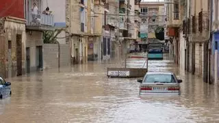 La Generalitat advierte a la CHS que impedirá que la Vega Baja se convierta en el desagüe del río Segura