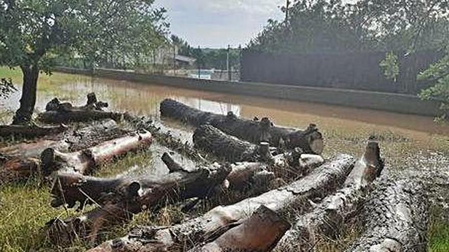 Inundaciones en una finca rústica de Santa Eulària.