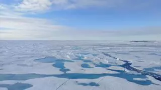 El Ártico bajo llave: Estados Unidos restringe el  a datos vitales sobre el hielo marino