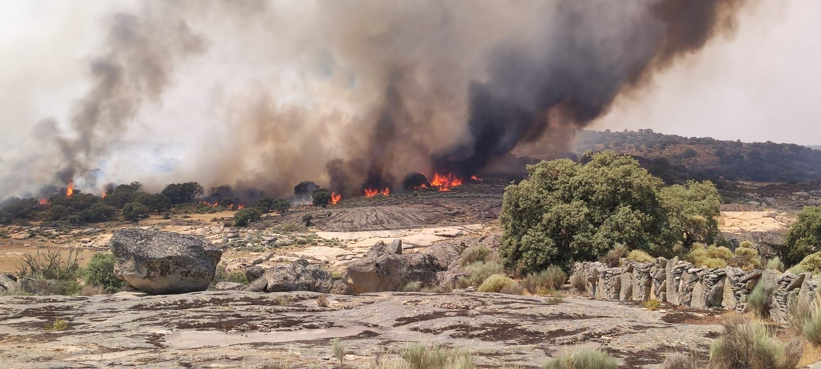 GALERÍA | Incendio en Roelos de Sayago
