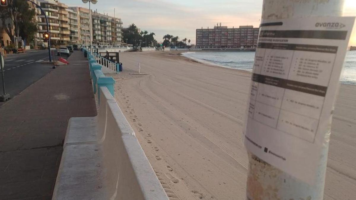 Vídeo: parada de bus del centro de Torrevieja / Foto: una "parada" de bus en la playa de Los Locos, únicamente señalizada con un papel en una farola