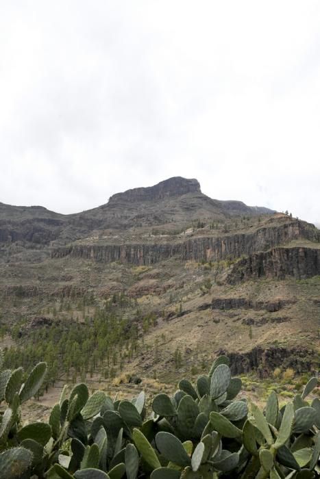 GRAN CANARIA 26-01-2019  SANTA LUCIA DE TIRAJANA-SAN BARTOLOME DE TIRAJANA. Fotos al macizo de Amurga. Fotos a los terrenos de la familia de Román comprados por el Cabildo.  FOTOS: JUAN CASTRO