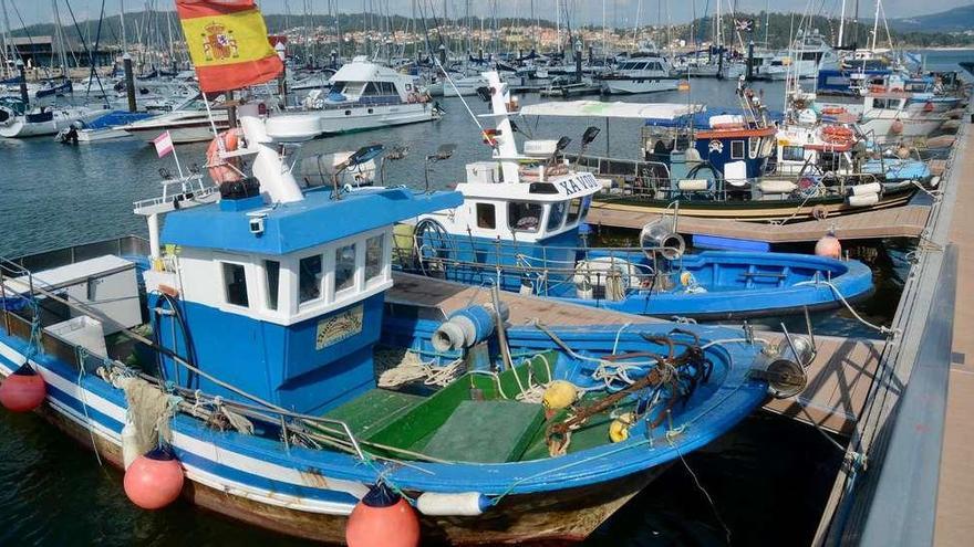 La flota para pesca de sardina de la Cofradía de Raxó, amarrada en el muelle de Combarro a finales de esta semana. // Rafa Vázquez