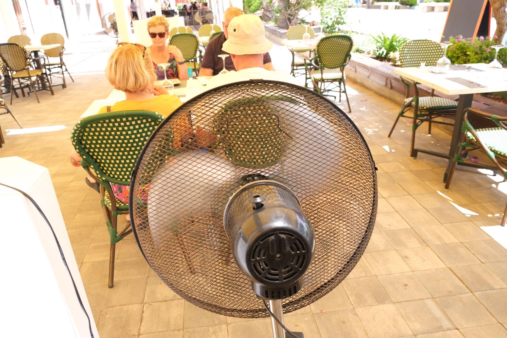 Los abanicos y ventiladores han sido los mejores aliados contra las altas temperaturas en el exterior.