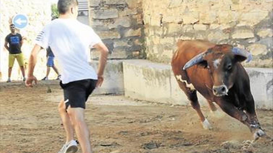 L’ALCORA CELEBRA TOROS EN ARAYA