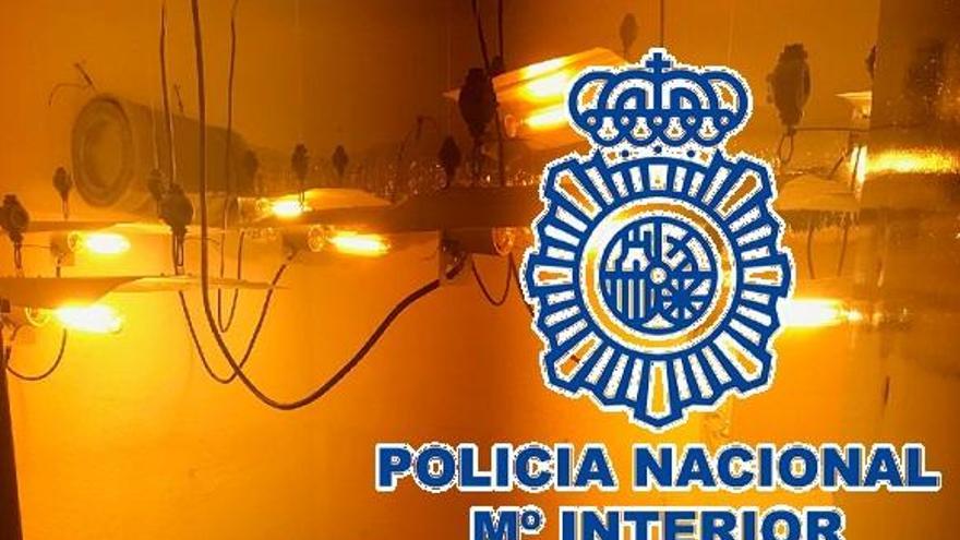 En los registros efectuados tras la detención se halló un invernadero de marihuana.