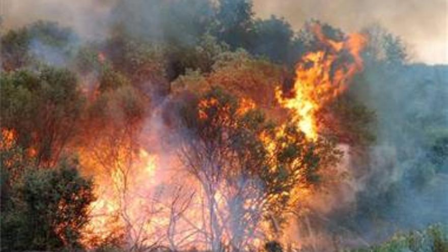 Se producen menos incendios de origen desconocido en la región