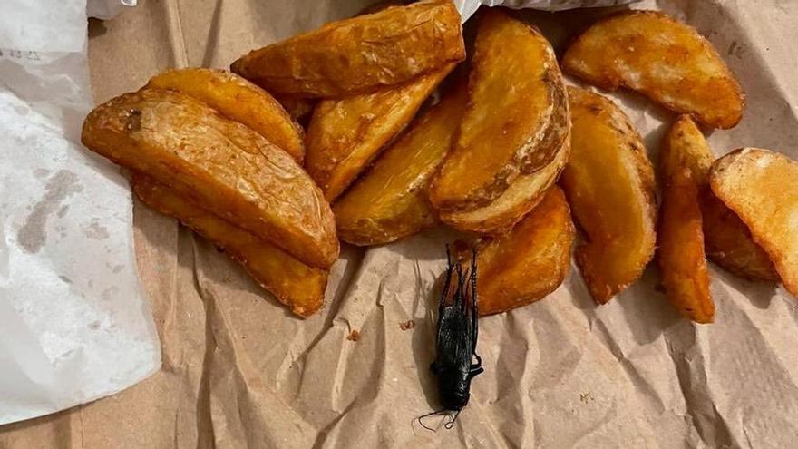 Encuentran un grillo muerto en la comida de un conocido restaurante en Cáceres