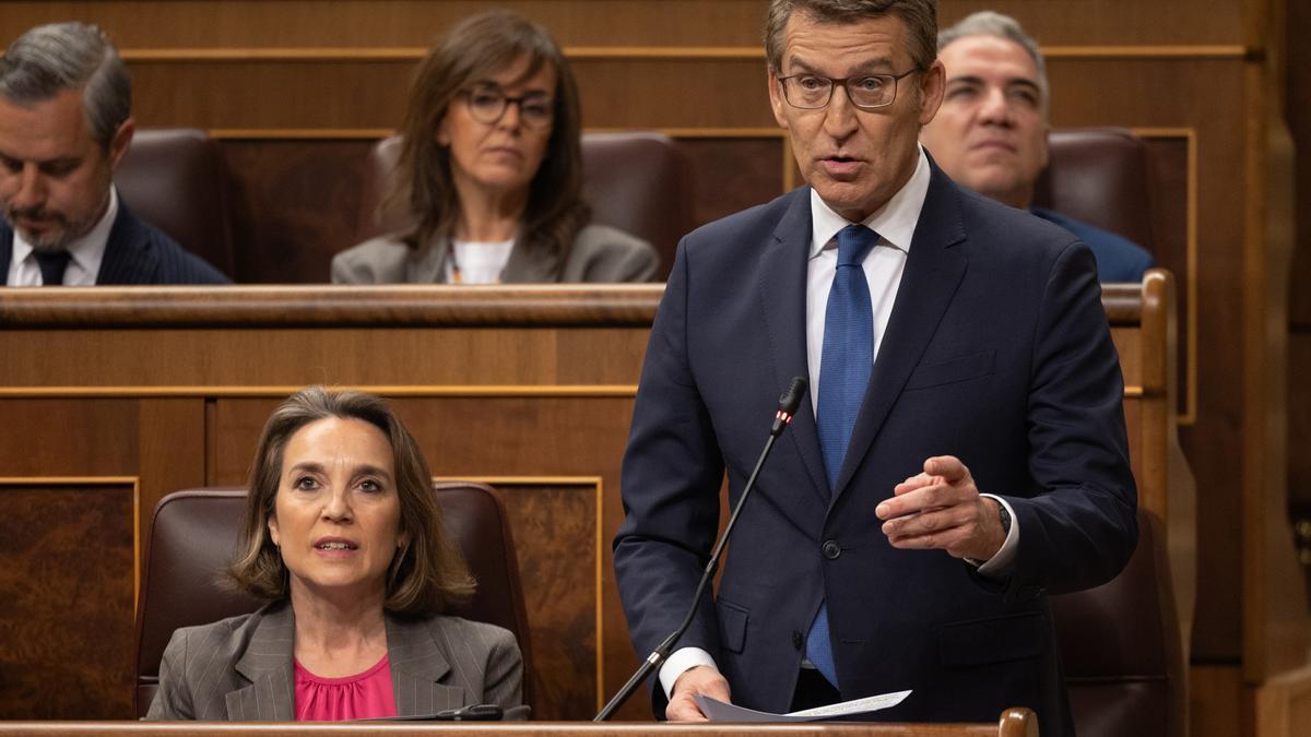 El líder del PP, Alberto Núñez Feijóo, interviene durante una sesión de control al Gobierno.