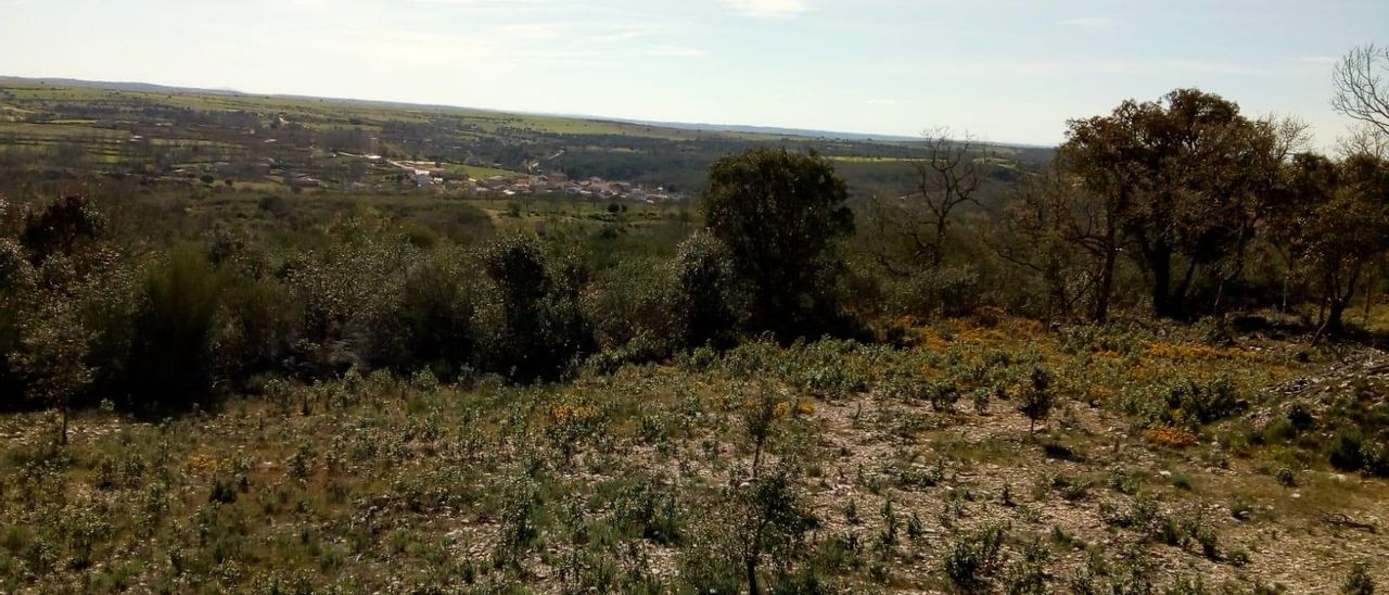 Zona de Cerezal donde se instalarán algunos de los aerogeneradores. Al fondo, el pueblo.