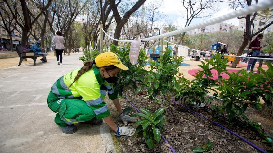 La gestión de las zonas verdes de Alicante sigue en el aire